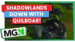 WoW Shadowlands - Down with the Quilboar guide - MGN World of Warcraft