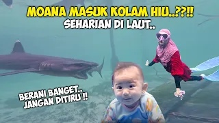 BAH*YA! RICIS BERENANG SAMA HIU SEDEKET INI!! Panik Banget..