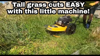 $20 to mow this? Done!