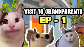 CAT MEMES: A VISIT TO GRANDPARENTS PT. 1