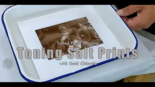 Toning Salted Paper Prints - Gold Chloride