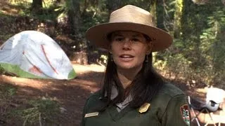 Camping in Yosemite