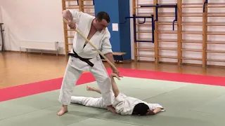 Тренировка взрослой группы клуба айкидо Рютенкай 28.02.2020 | Aikido | 合気道