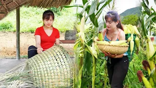 How To Knit a Bamboo Basket To Harvest Corn - NHAT Building OFF GRID FARM | Nhất My Bushcraft