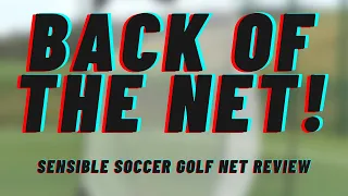 Back of the Net! - Sensible Soccer Golf Net Review