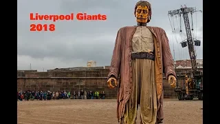 Liverpool Giants 2018