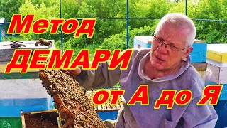 Борьба с роением пчел Метод Демари наглядно #1