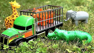 Zoo Animal Toys 🐯 Ride in Bouncy Transport Truck