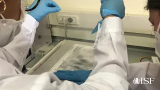 Laboratorio di Analisi documentale forense (strumento ESDA)