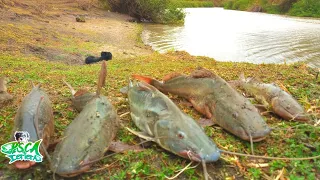 INCREÍBLE la pesca de BAGRES GRANDES BOGAS PIRAÑA en este arroyo!