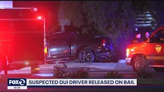 Suspected DUI driver released on bail