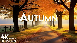 11 HOURS of 4K Enchanting Autumn Nature Scenes 🍁 Relaxing Piano Music for Stress Relief #16