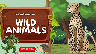 Wild Animals for Kids - Learn Wild Animals