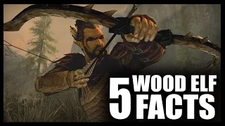 Skyrim - 5 Wood Elf Facts - Elder Scrolls Lore