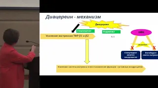 Чичасова Н.В., Подходы к терапии остеоартрита в условиях реальной клинической практики.