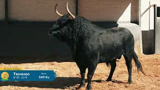 SORTEO | Toros de Fuente Ymbro, 11 mayo