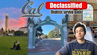 What you should know before attending UC Berkeley | Downsides of CAL