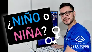 ¿Cómo saber si es NIÑO o NIÑA por ULTRASONIDO?