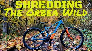 Shredding the Orbea Wild