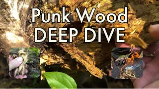 Punk Wood Deep Dive and Charring Process
