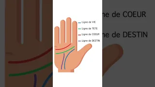 Comment Lire les Lignes de la main ?