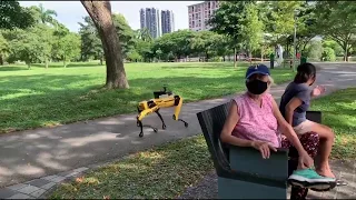 Boston Dynamics Spot reminding parkgoers about social distancing