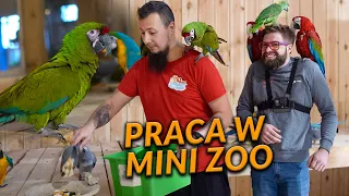 PRACA W PRYWATNYM ZOO. Jaki jest koszt utrzymania zwierząt? | DO ROBOTY