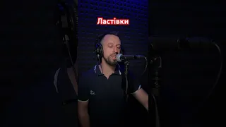 Ластівки - Chico & Qatoshi (Sergiy184) cover