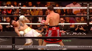 TKO Highlight | Danny Garcia vs Brandon Rios