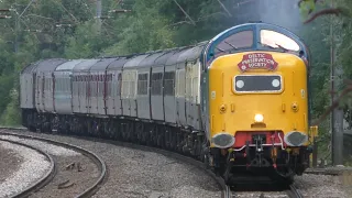 55009 'Alycidon' working 1Z22 'The Capital Deltic Reprise' at Hitchin | 29/07/23