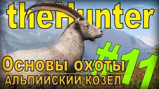 the Hunter - Альпийский козел [Основы охоты] #11