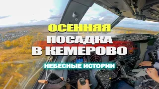 Посадка в красивом осеннем Кемерово | Вид из кабины Boeing 737 #авиация #кемерово