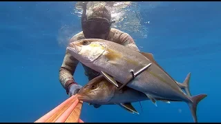 Chasse Sous-Marine Corse Spearfishing One Shot Two Kills Amberjack