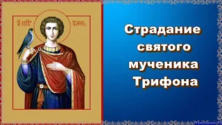 Страдание святого мученика Трифона