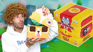 Billy's Toy Review | *NEW* Pet Simulator Collector Bundle Pixel Corgi & Plushie