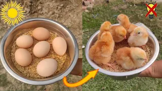 How to hatch eggs at home without incubator 100 % | sunlight incubator | homemade incubator