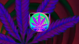 purple control weed trance 🔥