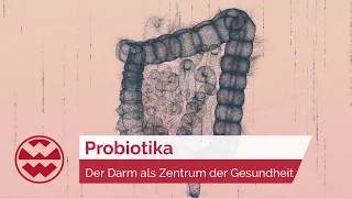 Probiotika: Der Darm als Zentrum der Gesundheit - Life Goes On | Welt der Wunder