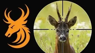 Monster roebuck hunt in Hungary with Wonderhart