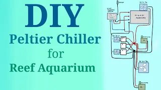 DIY Reef Tank Chiller