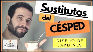 🌱SUSTITUTOS DEL CÉSPED🌱- Plantas CUBRESUELOS y otras ALTERNATIVAS para REEMPLAZAR el césped.👈👈👈🤯