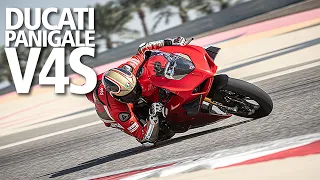 Ducati Panigale V4S (2020) REVIEW | Bennetts BikeSocial