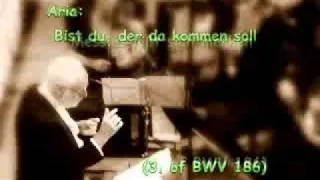 BWV186a.flv