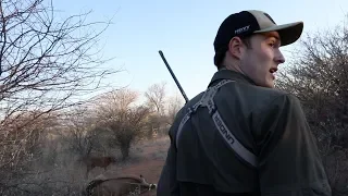 CHARGED By ORYX In Africa!! {CLOSE CALL}