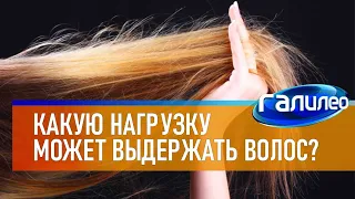 Галилео 💁 Какую нагрузку может выдержать человеческий волос?