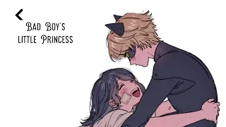 Bad boy's little princess | A miracolous ladybug texting story | One shot