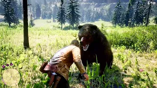 The bear attacked Arthur Morgan | Red Dead Redemption 2 Gameplay