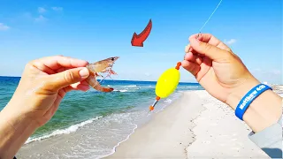 SURF FISHING in the GULF with LIVE Shrimp and Popping CORK!! *GREAT RESULTS*