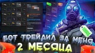 Бот трейдил за меня 2 месяца - Сколько удалось заработать ?