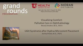 Visualizing Comfort Palliative Care in Ophthalmology; UGH Syndrome after Hydrus Microstent Placement